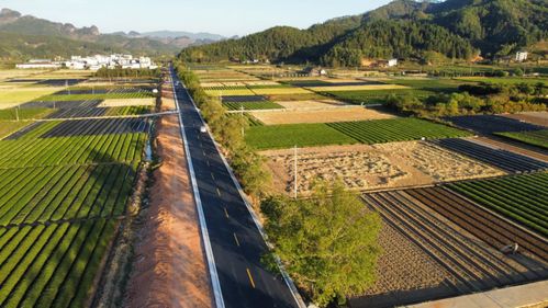 我省第三批“最美鄉村福路”名單公布，促進鄉村旅游開發項目蓬勃發展