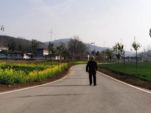 中原云裳牧場 魯山縣生態(tài)旅游新地標(biāo)，點(diǎn)亮東部文旅新版圖