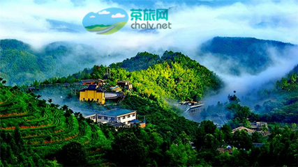 茶香漫山巒，文旅譜新篇——宜賓市敘州區(qū)天宮山茶旅融合開發(fā)項(xiàng)目有序推進(jìn)